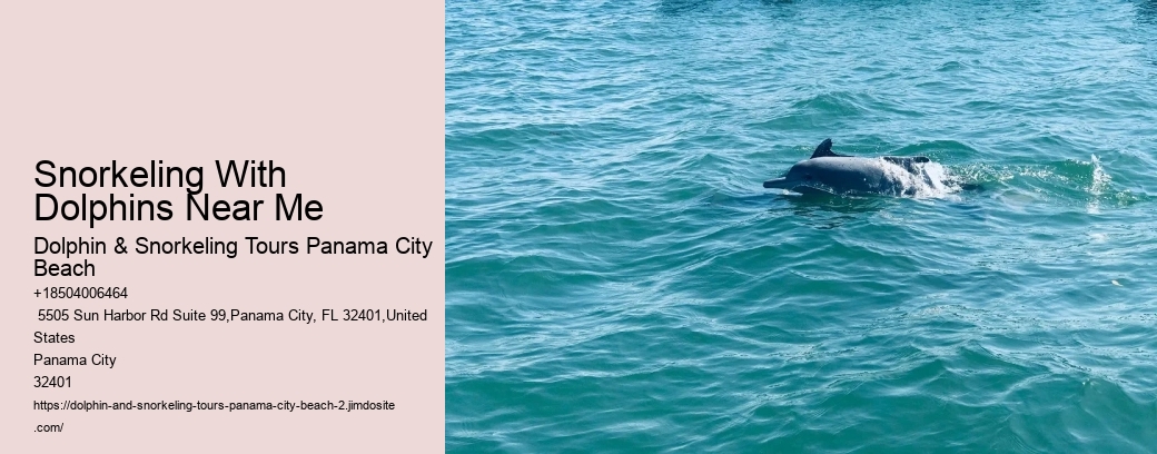 Dolphin And Snorkeling Tours Panama