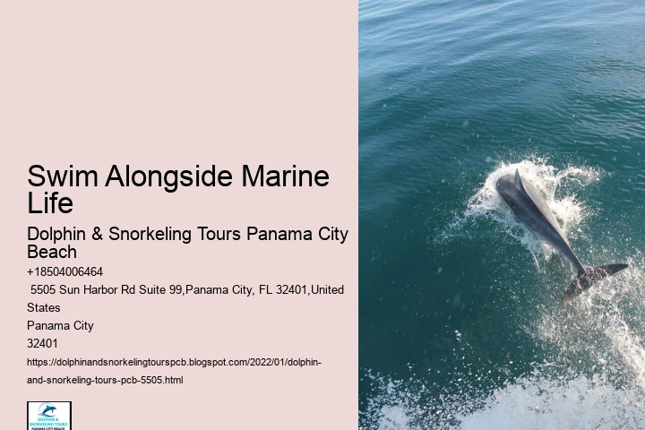 Swim Alongside Marine Life
