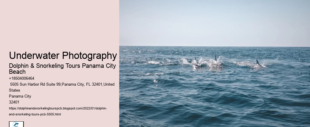 Underwater Photography