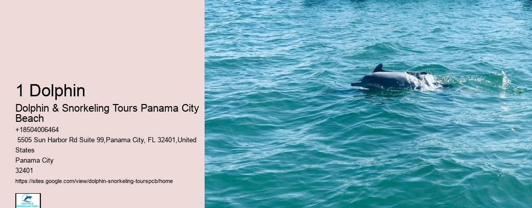 Boat Tours