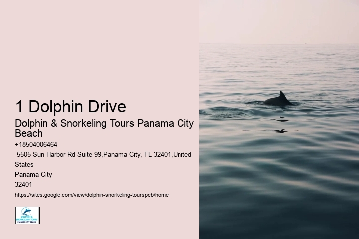 How Much Is Snorkeling In Panama City Panama