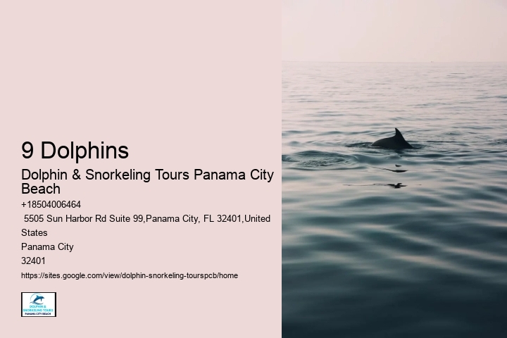 9 Dolphins