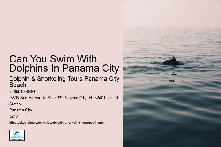 Where To Go Snorkeling Near Shell Island Florida
