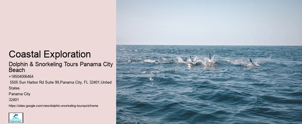 Tours Panama City Beach