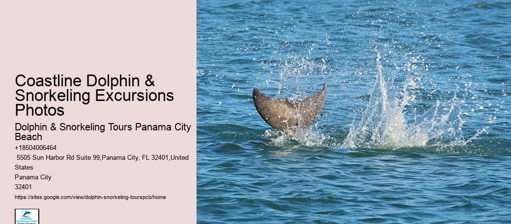 Group Tours