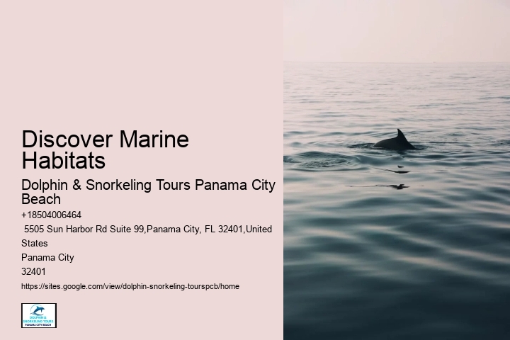 Snorkeling Tours Panama City