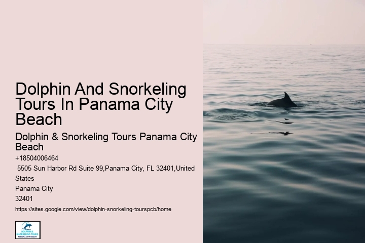 Dolphin And Snorkeling Tours In Panama City Beach