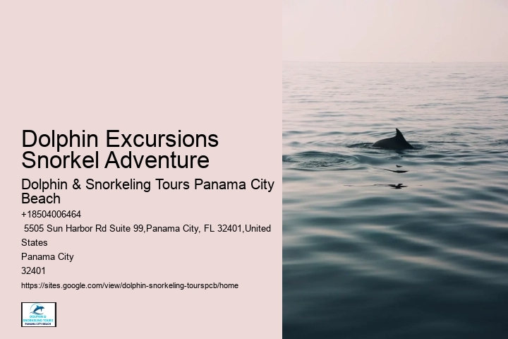 When Can You See Dolphins In Panama City Beach