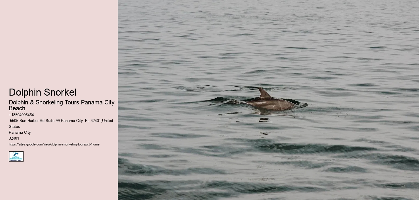 Dolphin Snorkel