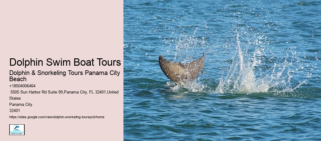 Scenic Coastline Tours