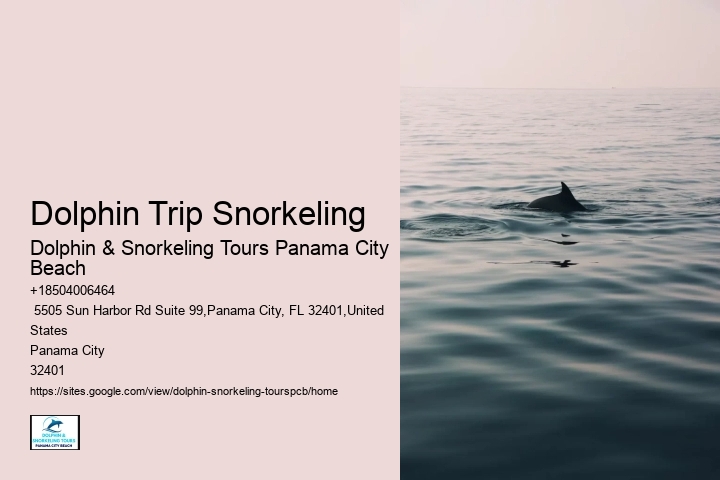 Snorkeling Tours