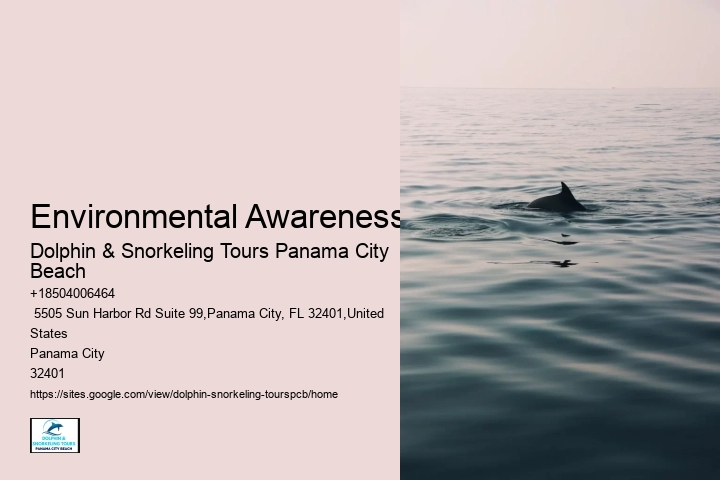 Dolphin & Snorkeling Tours In Panama City Beach