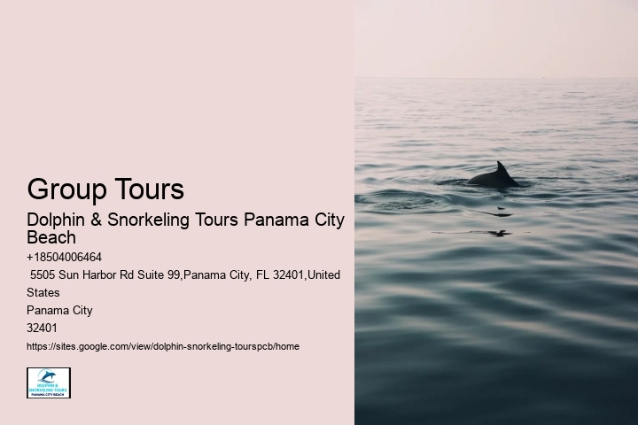 Dolphin Sightseeing