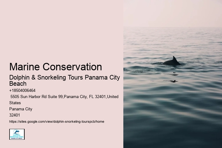 Marine Conservation