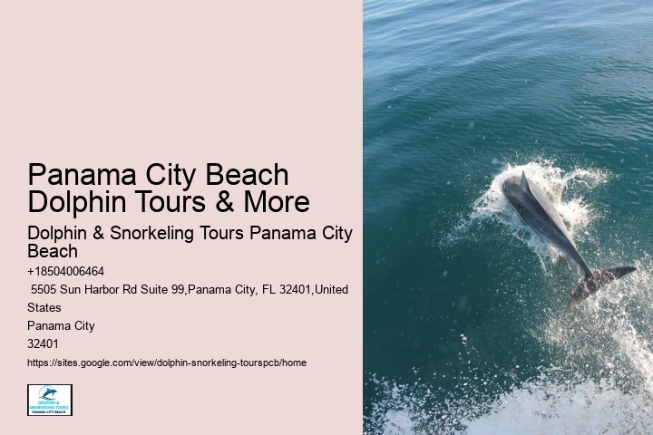 Panama City Beach Dolphin Tours & More