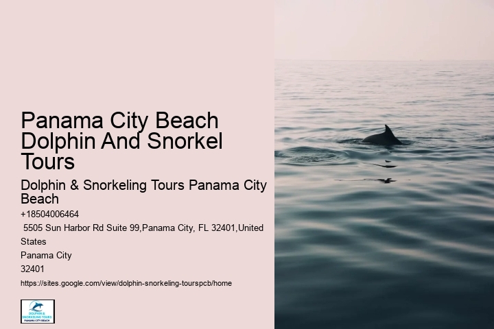 City Florida