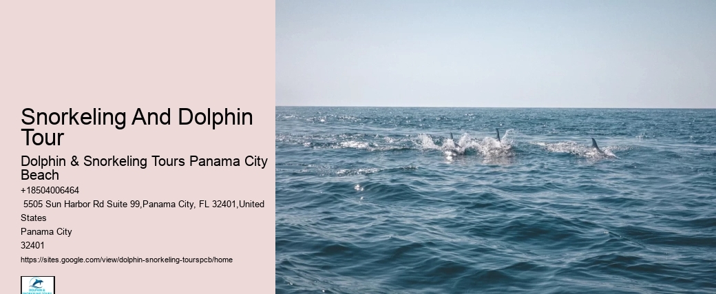 City Beach Dolphin