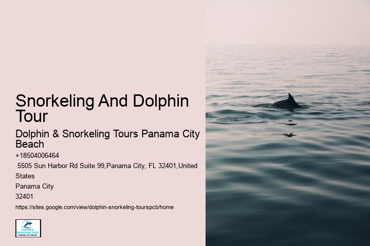 Dolphin And Snorkel Tours