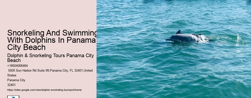 The 5 Best Panama City Scuba Diving & Snorkeling