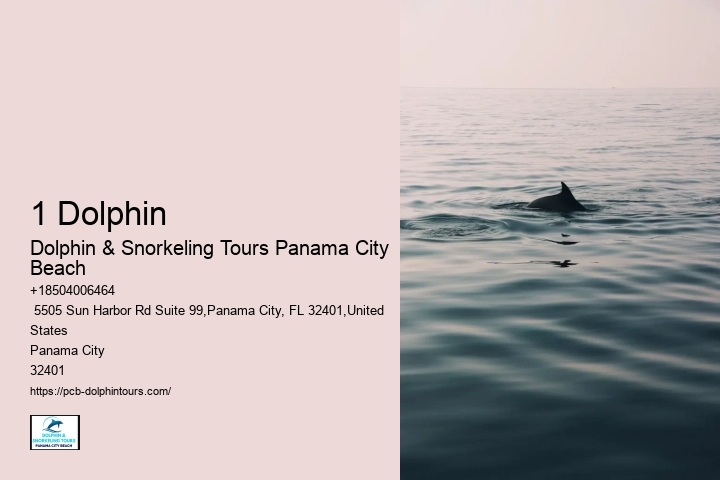 Adventurous Activities In Panama City Beach