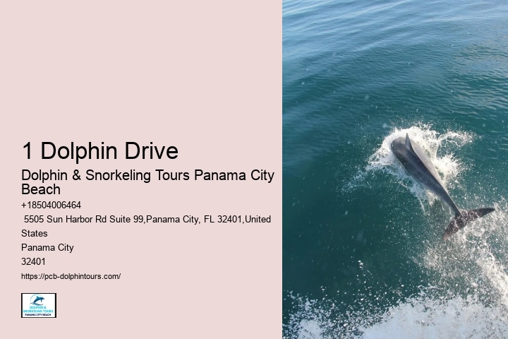 1 Dolphin Drive