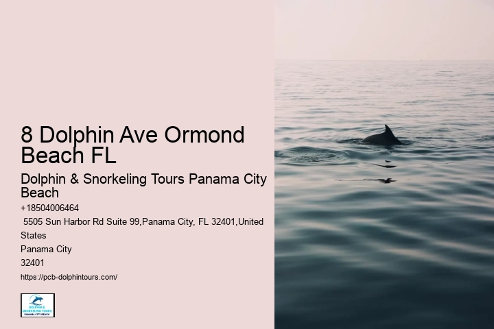 Dolphin Watching Tours Near Me
