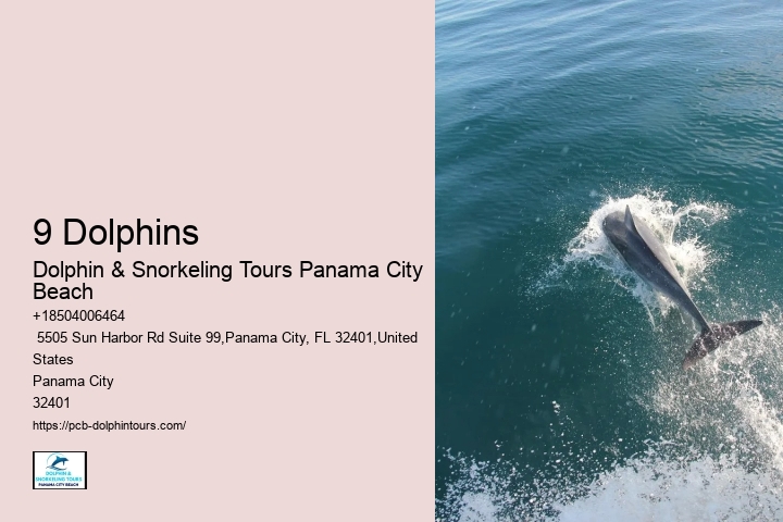 Where Do Dolphins Live