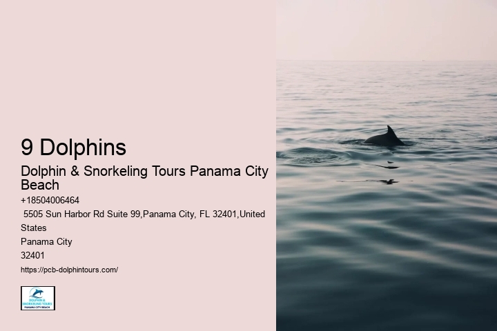 9 Dolphins