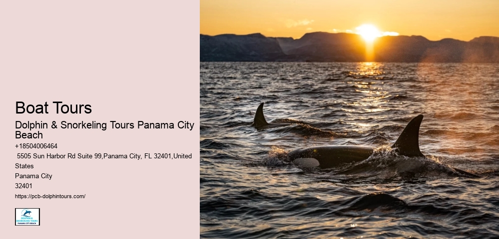 Is It Safe To Swim At Panama City Beach