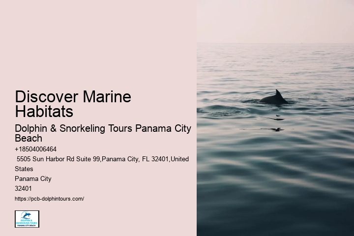 Adventurous Activities In Panama City Beach