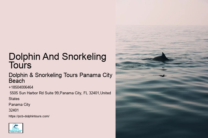 Shell Island Beach Is One Of Our Favorite Places For Swimming With Dolphins In Panama City Beach