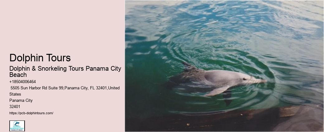 Dolphin Research Center