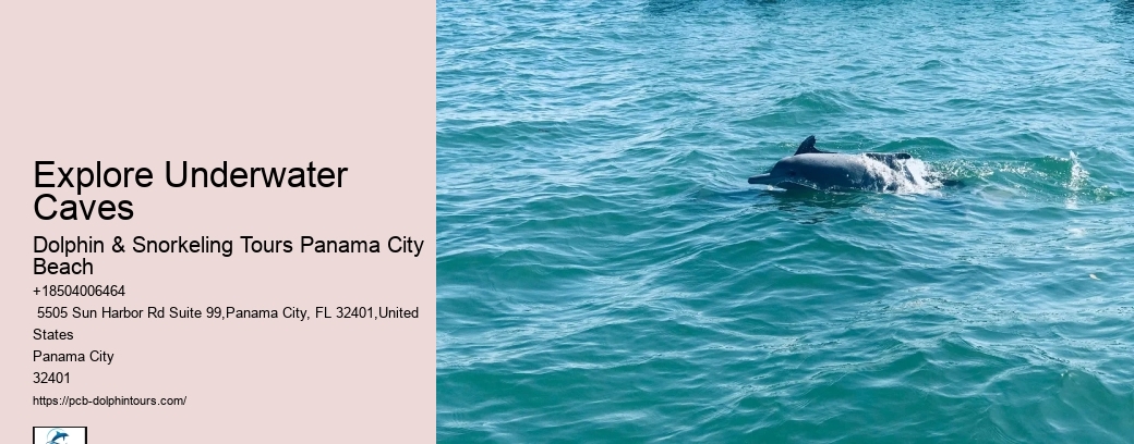 Dolphin Tours 30a