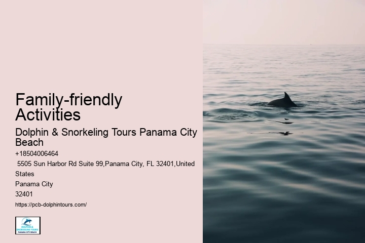 Swim-with-the-dolphins Attractions
