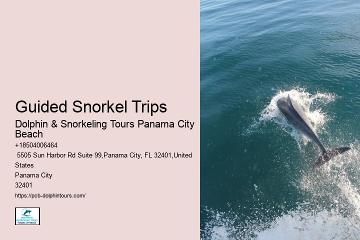 Guided Snorkel Trips