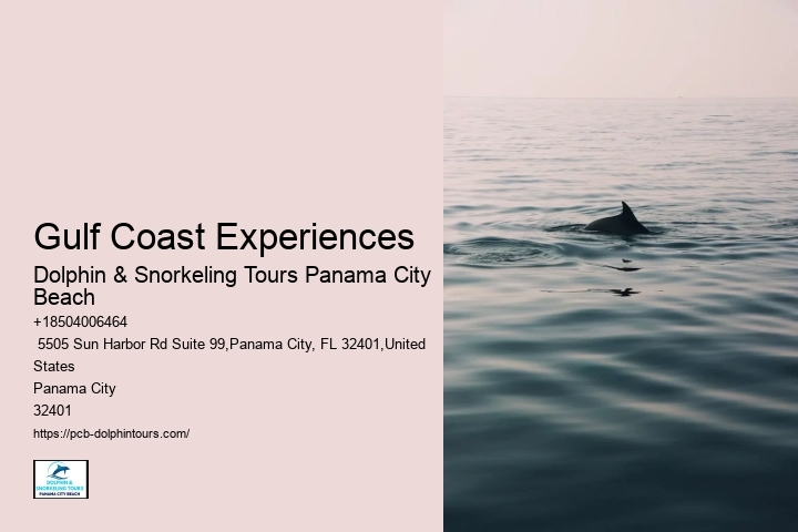 Gulf Coast Experiences