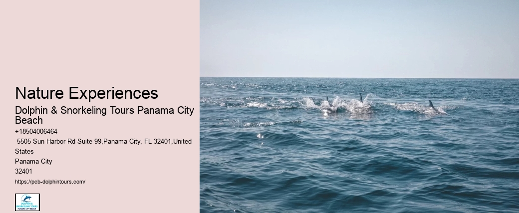 Coastal Clean-up Initiatives