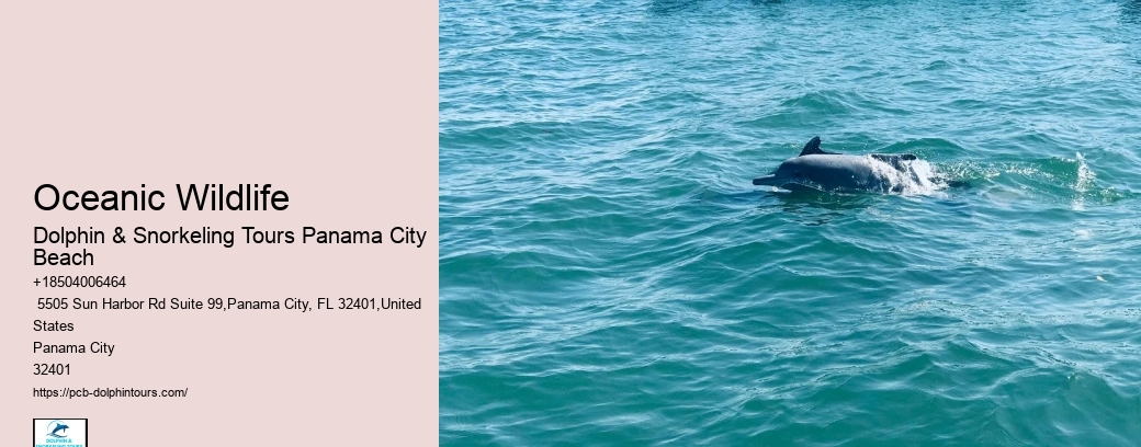 Oceanic Wildlife