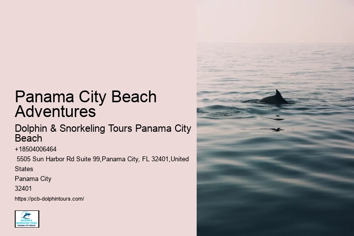 Where Is The Best Place To Snorkel In Panama City Beach
