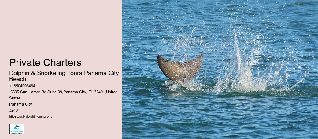 Panama City Beach Safety