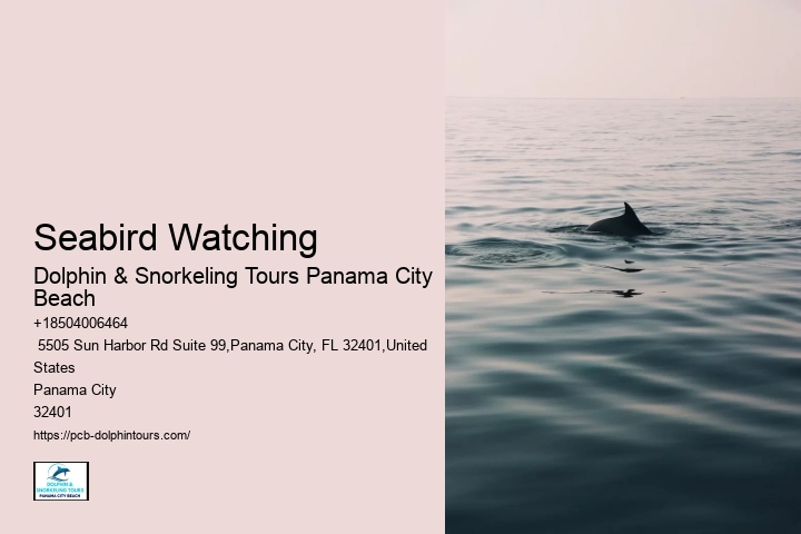 Dolphin & Snorkeling Tours In Panama City Beach Prices