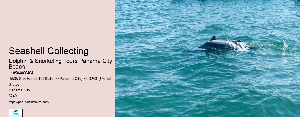 Rental Panama City