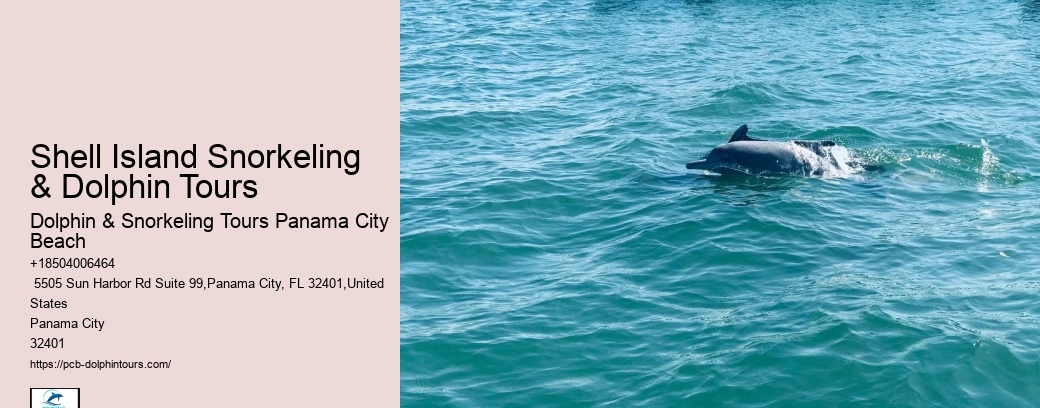 1 Dolphin