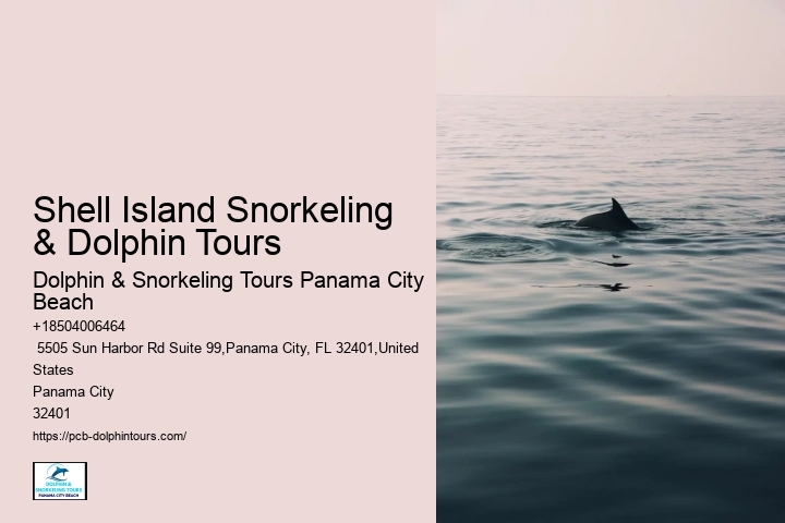 Dolphin Tour