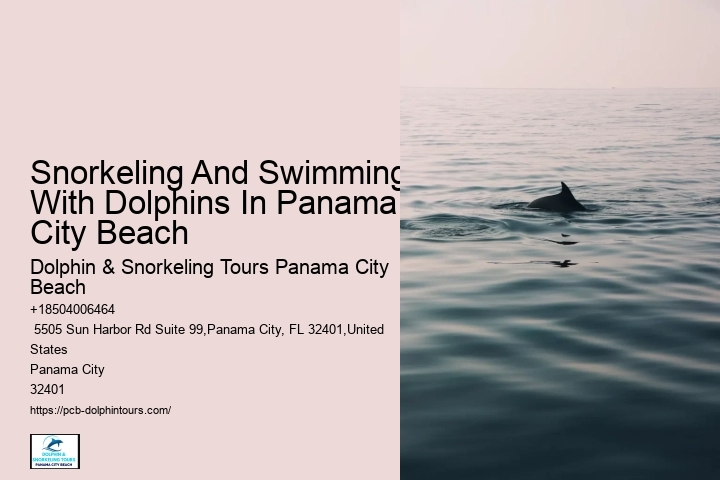 Dolphin & Snorkeling Tours In Panama City Beach