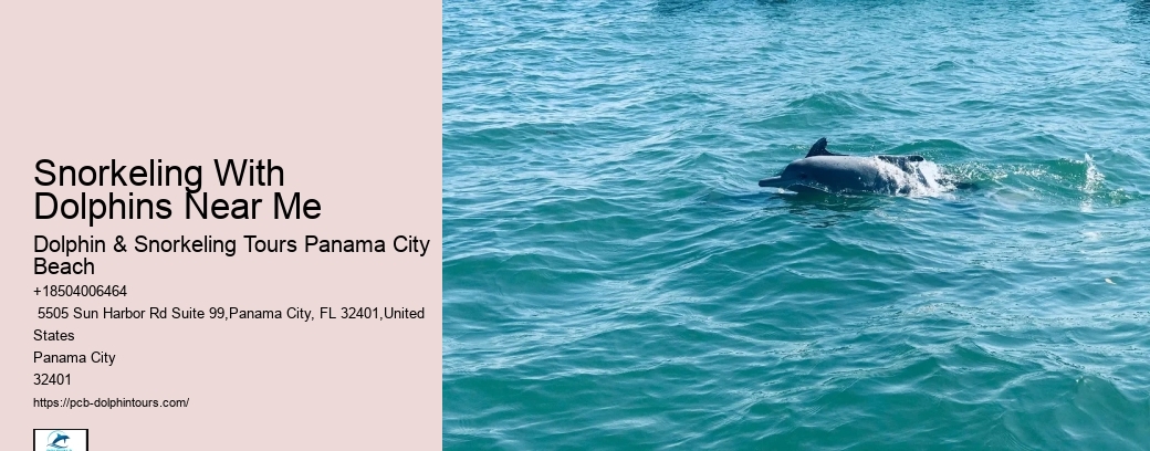 Photography Tours