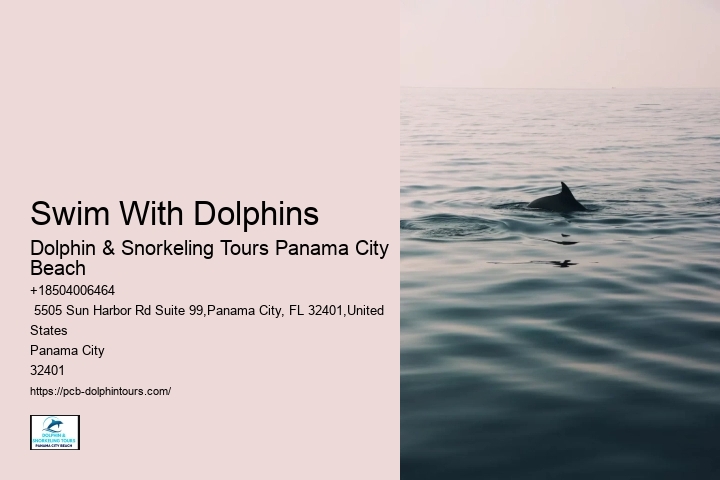 Dolphin Cruise Panama