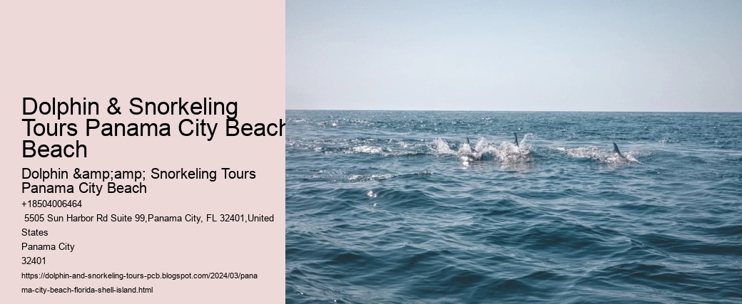 Dolphin & Snorkeling Tours Panama City Beach Beach
