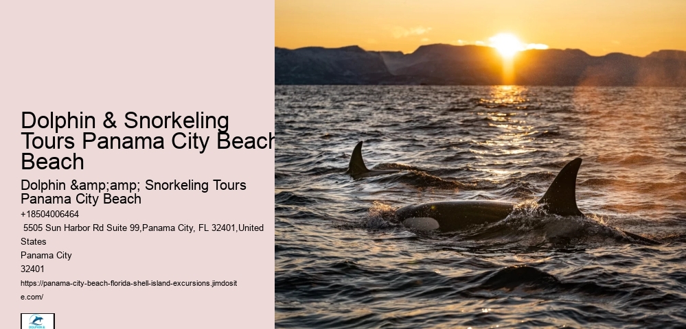 Panama City Beach Snorkeling Tours More