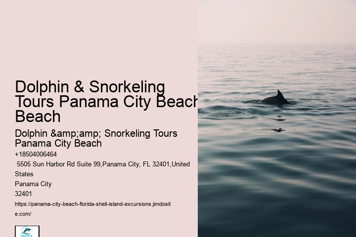 Snorkeling Escapades Around Panama City Beach